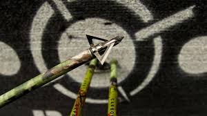 We did not find results for: 10 Best Crossbow Broadheads For Deer 2021 Advanced Hunter