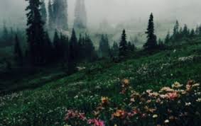 Tons of awesome laptop backgrounds tumblr to download for free. Laptop Backgrounds Aesthetic Cottagecore Novocom Top