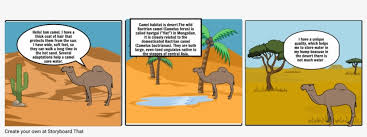 Camels attempted to kill all humans with the invention of a radical new weapon of mass destruction (dubyuh emm dee for short) called the cigarrette,lead by the weapons lead designer,joe p. Camel Saul S Conversion Storyboard Transparent Png 1164x385 Free Download On Nicepng