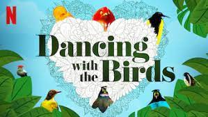 Dancing with the birds by cubic nomad, released 26 february 2021 1. Is Dancing With The Birds 2019 On Netflix Russia