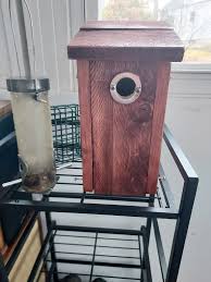Image result for Flyte Blackbird Nest Box