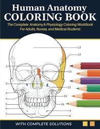 Amazon.com: Human Anatomy Coloring Book