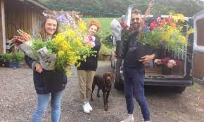 Maybe you would like to learn more about one of these? Wholesale Carol S Garden