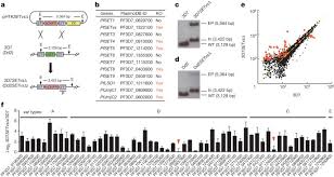 Las fierbinti sezonul 19 episodul 6. Pfsetvs Methylation Of Histone H3k36 Represses Virulence Genes In Plasmodium Falciparum Nature