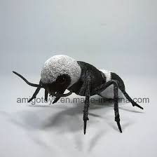 Image result for panda ant