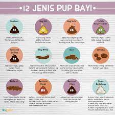 Pada usia 10 bulan, bayi sudah mempunyai kemampuan mengunyah makanan dan menelan dengan baik. 12 Jenis Pup Bayi Infografis Ibupedia