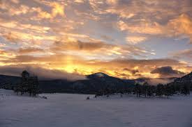 Cedar is definitely getting better at sitting for photos, before it was  mainly shot and pray one came out not blurry! . . . . . ⁣ .⁣ .⁣ .⁣ .⁣ .⁣ #