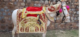 Ghori Service