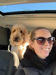 Doodle loves ice like their owner?