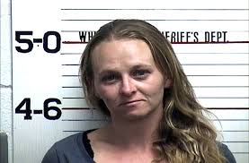 Rock House Chapter, Daughters of the American Revolution recognizes those  who have served their organization