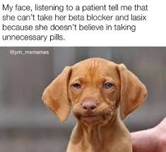 Nurse Memes For The Overworked Rns 16 Memes Funny Dog Memes Nursing Memes Funny Dogs