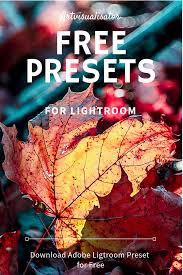 Free Presets Lightroom Presets Portrait Free Lightroom Presets Portraits Best Free Lightroom Presets