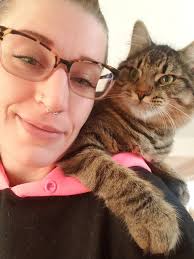 Lost cat Enzo in Elgin and surrounding areas