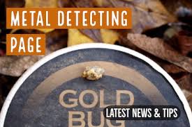 In this article, we are going to look at the best places that can be used as hunting spots. Metal Detecting In California Coins Relics Buried Treasure Raregoldnuggets Com