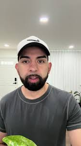 Adding new plants to my collection 🪴 #plantdad #plantdaddy #plants  #plantsoftiktok #plantok #bop #monstera #heliconia #targetplants