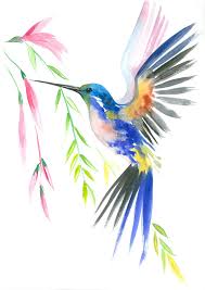 Animal Bird Of Paradise Drawing Birds Of Paradise Set Of Watercolor Print Watercolor Etsy In 2020 Painting Illustration Watercolor Bird Hummingbird Painting
