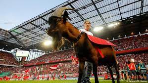 Fussball club koln 01/07 e. Fc Cologne Left To Pick Up The Pieces As China Sponsorship Deal Breaks Down Sports German Football And Major International Sports News Dw 10 01 2020