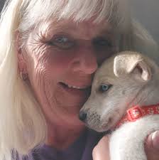 Lost Pets of Cary and CL