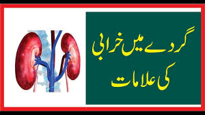 Symptoms Of Kidney Failure In Urdu Causes Of Pain In Kidney Urdu Youtube