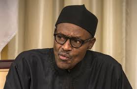 Abdul Mahmud: Buhari, His Critics And The Case For Efficient Government
