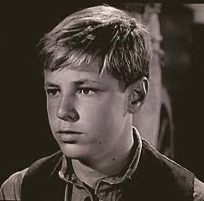 Wagon Train" The Terry Morrell Story (TV Episode 1962)