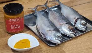 See comprehensive translation options on definitions.net! Ikan Kembung In English
