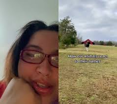 Maxinee (@maxine.feeney)