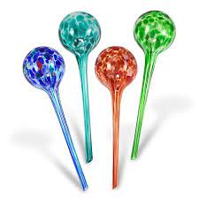 Amazon Com Blazin Bison Indoor Plant Watering Globes Automatic Self Water Bulbs Aqua Water Globe De Watering Globe Watering Bulbs Self Watering Plants