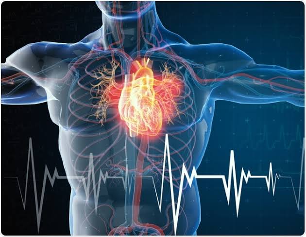 What is Lazarus Syndrome (Autoresuscitation)?