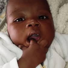 Donate to Last Hope: Save 8 Lives