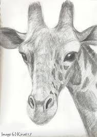 Art drawings drawings animal drawings cute drawings painting giraffe sketches painted rocks art. 20 Ways To Draw A Giraffe Like A Cartoonist Bored Art Realistic Drawings Animal Drawings Sketches Giraffe Drawing