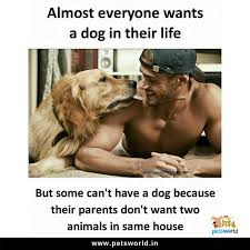 Hit Like If You Can Relate To This Petsworld Dog Dogbed Dogs Dogtraining Quotes Quoteofthe Dog Quotes Funny Funny Dog Memes Funny Animal Pictures