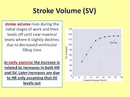Pin On Systems Cardiovascular
