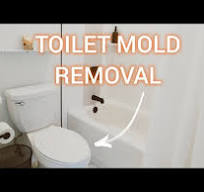 How To REMOVE MOLD from the Toilet in Less Than 10 Minutes ...