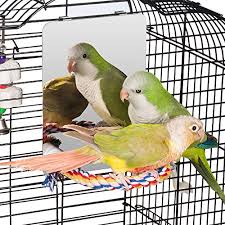 Maybe you would like to learn more about one of these? Do Cockatiels Like Mirrors Are Mirrors Bad For Birds