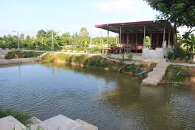 Pin On Leeya Fishing Park Udonthani
