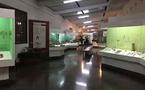 Remembering account, browser, and regional preferences. San Jose Costa Rica Travel Guide Travel Excellence