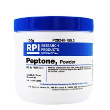 Image result for Peponium