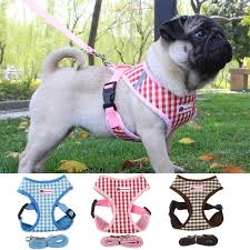 Satin Al Chihuahua Pug Icin Kopek Kosum Yelek Kucuk Orta Kopekler Naylon Orgu Kedi Kopekler Yaka Ve Tasmasi Yansitici Yuruyus Kursun Tasma Tl202 24 Dhgate Comda