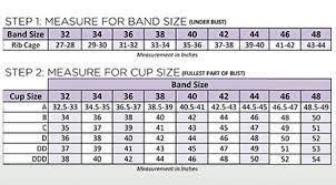 Take the quiz below and find out. Bra Basics First Bra Teen Clothing Bra Sizes Advice Puberty