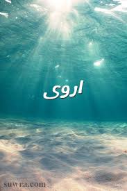 صور اسم اروى صورة