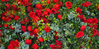 Join millions of customers in our happy floral family and get exclusive discounts sent to your inbox! 10 Plants That Symbolize Love Westwood Gardens