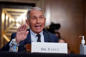 Anthony fauci, the nation's top infectious disease expert, angrily confronted kentucky gop sen. Z2f2wudp7ewykm