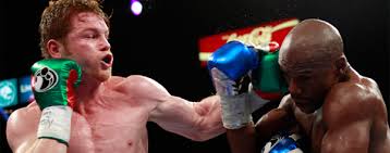 Canelo descarta pelea con floyd mayweather. Revancha Entre Canelo Y Mayweather Dejaria Ganancias Multimillonarias