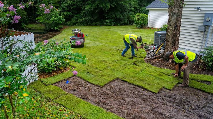 Bare area coverage with new sod