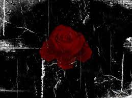 Pin On Gothic Rose
