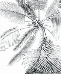 Maybe you would like to learn more about one of these? Tree Coloring Sketch Elegant Palm Tree Coloring Sheets Reddogsheet Palm Tree Drawing Palm Tree Sketch Palm Trees Painting