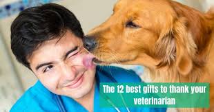 Target gift cards, ikea gift cards, american express gift cards, itunes gift cards, or, if you're really unsure, cash/checks are always appreciated (we grads have even better if you can fill the album or frames with pictures from their graduation or photos that are sentimental! The 12 Best Gifts To Thank Your Veterinarian 2021 I Love Veterinary