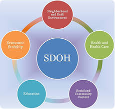Social Determinants Of Health Healthy People Social Determinants Of Health Health Literacy Health Healthy