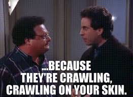 YARN | ...because they're crawling, crawling on your skin. | Seinfeld  (1989) - S06E20 The Doodle | Video clips by quotes | 03fe5715 | 紗